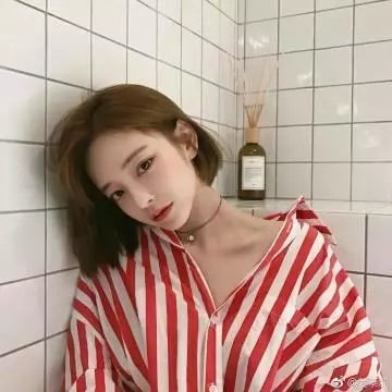 一条狗的回家路