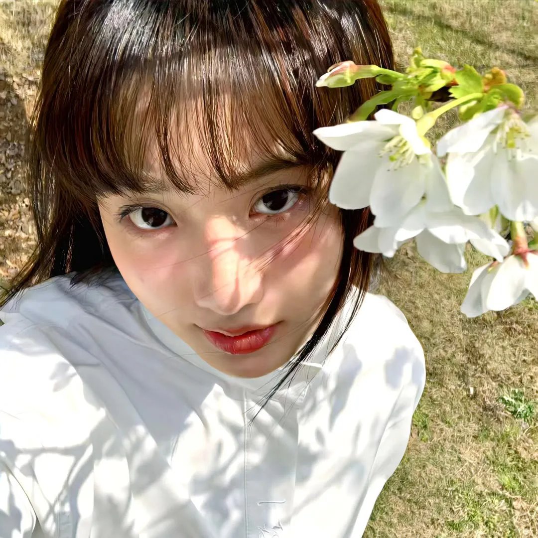 莫札特与鲸鱼：真爱相依